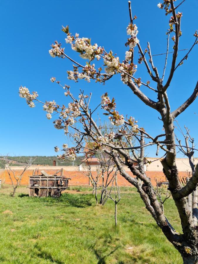 Casa Rural Las Aguedas Murias de Rechivaldo Eksteriør billede